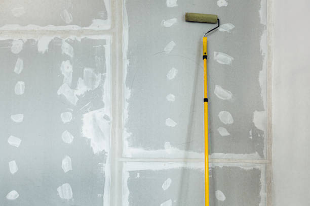 Mold Remediation for Vacation Homes in Devon, PA