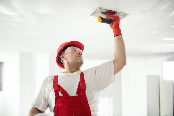 Professional Mold Removal in Devon, PA